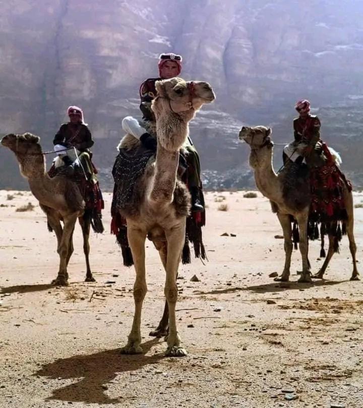 Enad Desert Camp Ram Vadisi Dış mekan fotoğraf