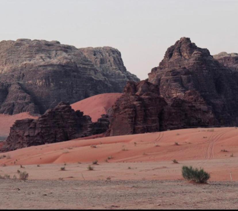 Enad Desert Camp Ram Vadisi Dış mekan fotoğraf