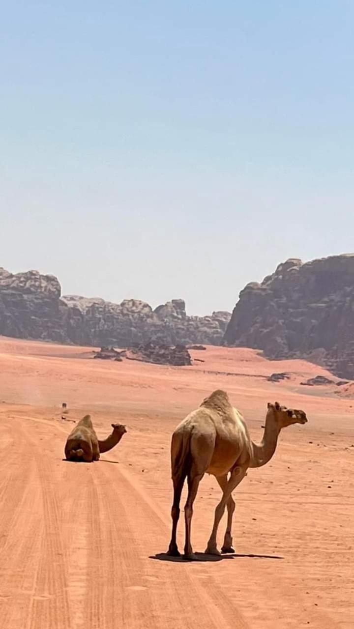 Enad Desert Camp Ram Vadisi Dış mekan fotoğraf