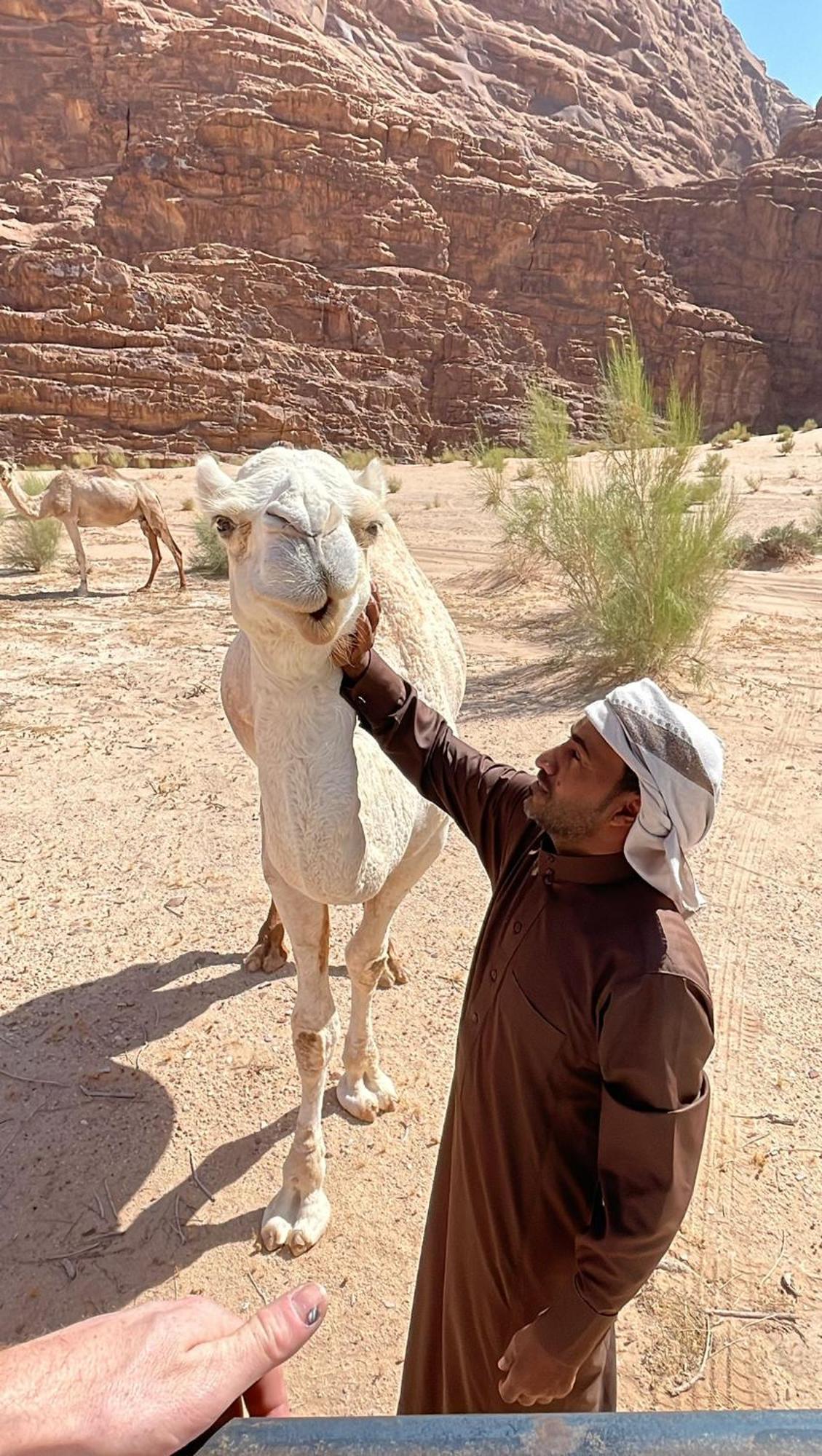 Enad Desert Camp Ram Vadisi Dış mekan fotoğraf